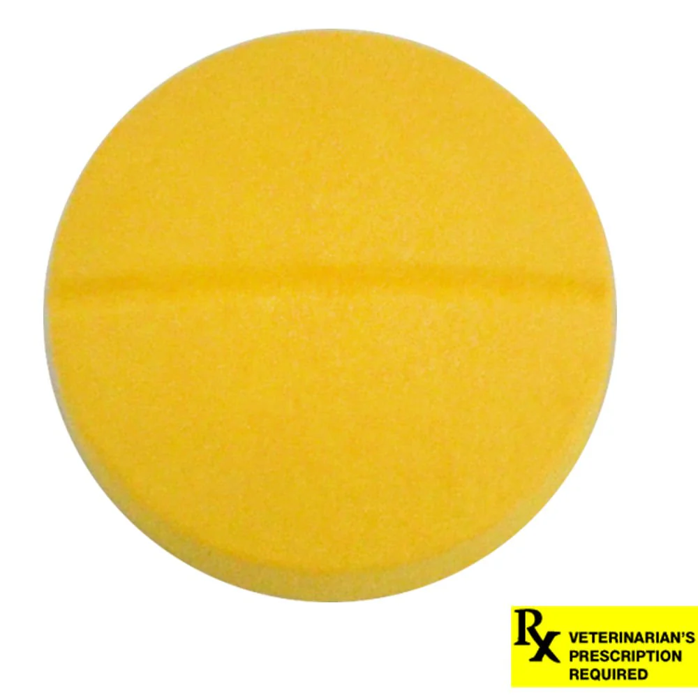 Rx Chloramphenicol (Generic) Tablets for Dogs - Image 7