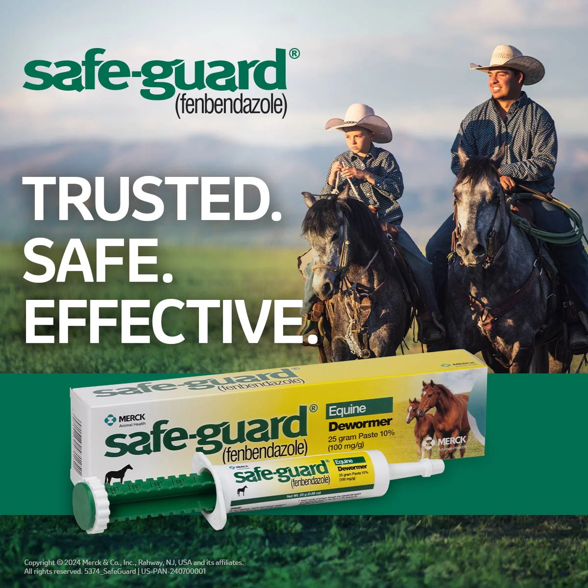 Safe-Guard 10% Fenbendazole Horse Dewormer Paste, 25g – Broad-Spectrum Parasite Wormer - Image 5