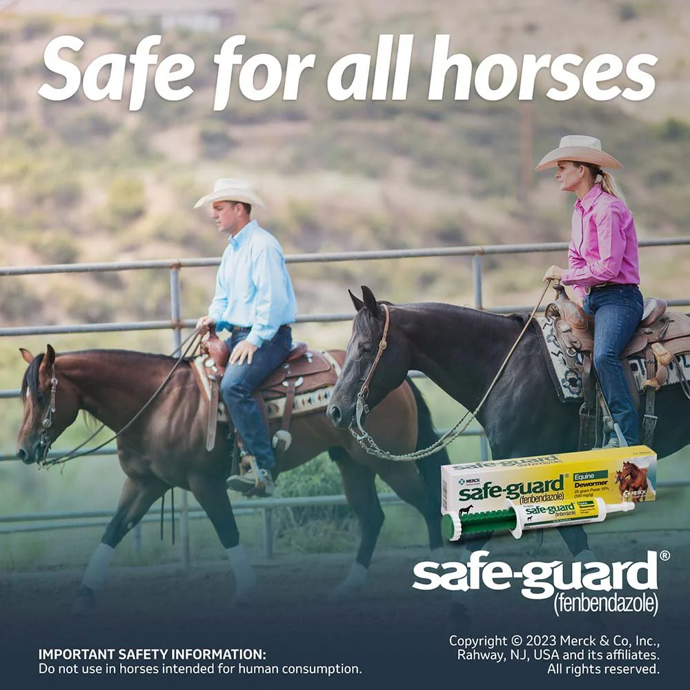 Safe-Guard 10% Fenbendazole Horse Dewormer Paste, 25g – Broad-Spectrum Parasite Wormer - Image 7