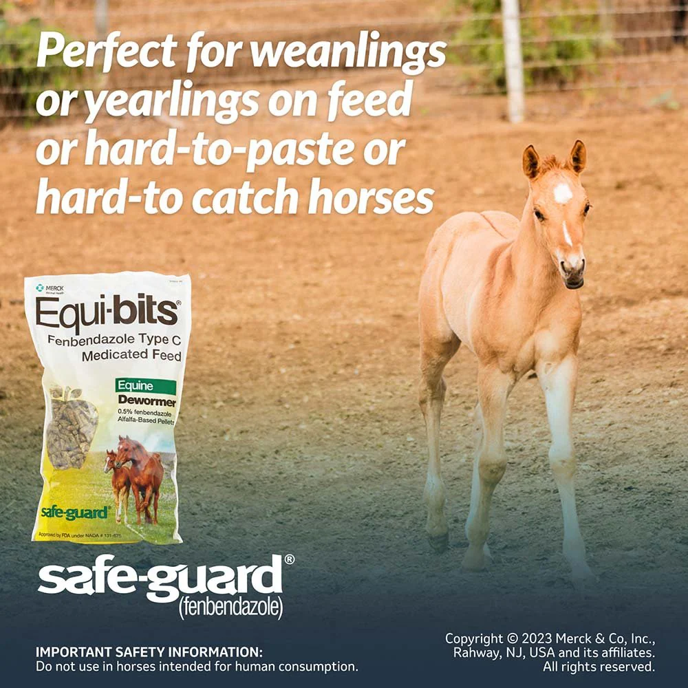 Safe-Guard Equi-bits Fenbendazole Medicated Feed Horse Dewormer - Image 7