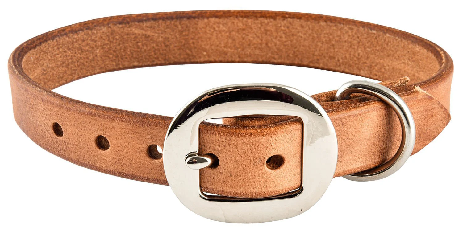 San Saba Leather Dog Collar - Image 13