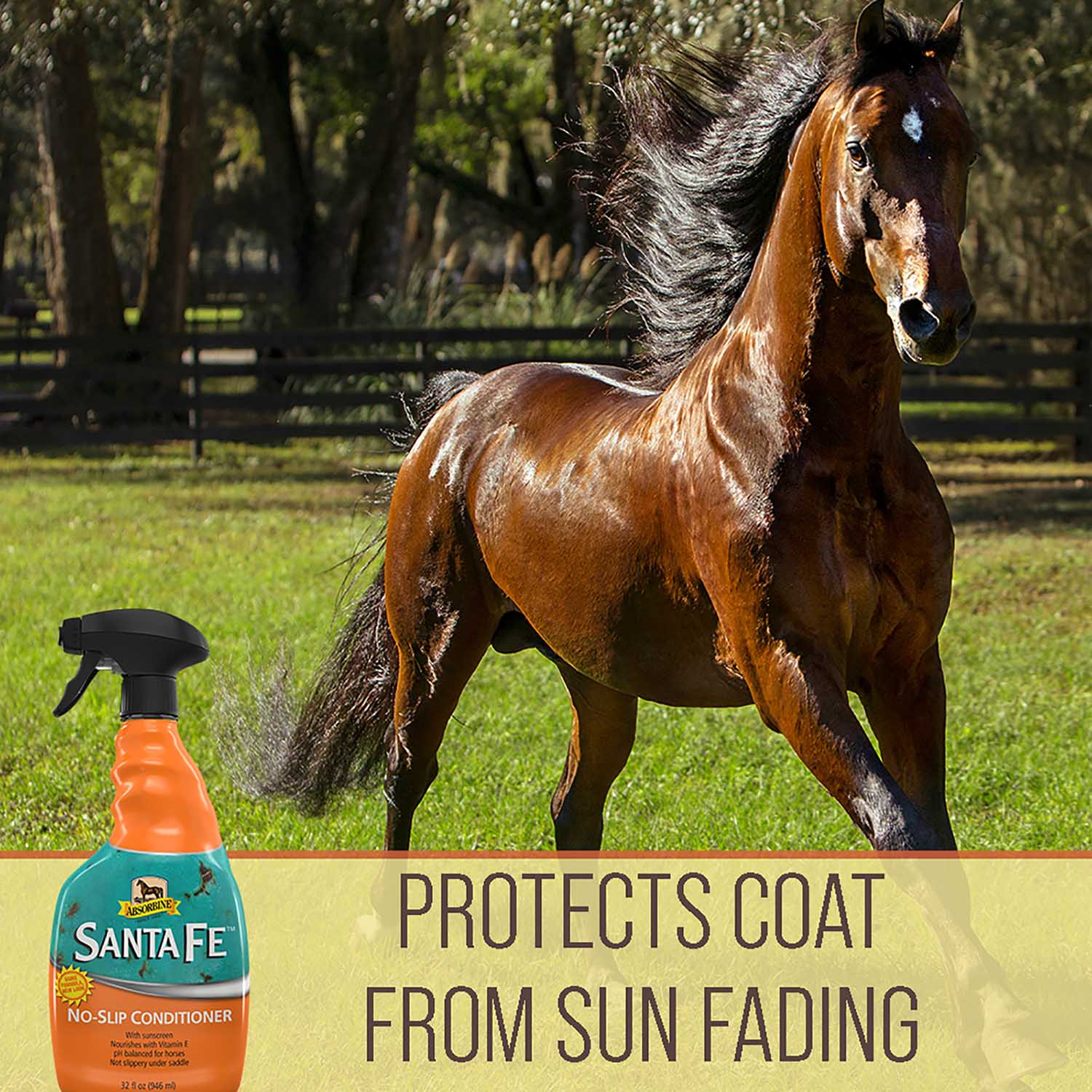 Santa Fe Coat Conditioner & Sunscreen - Image 5