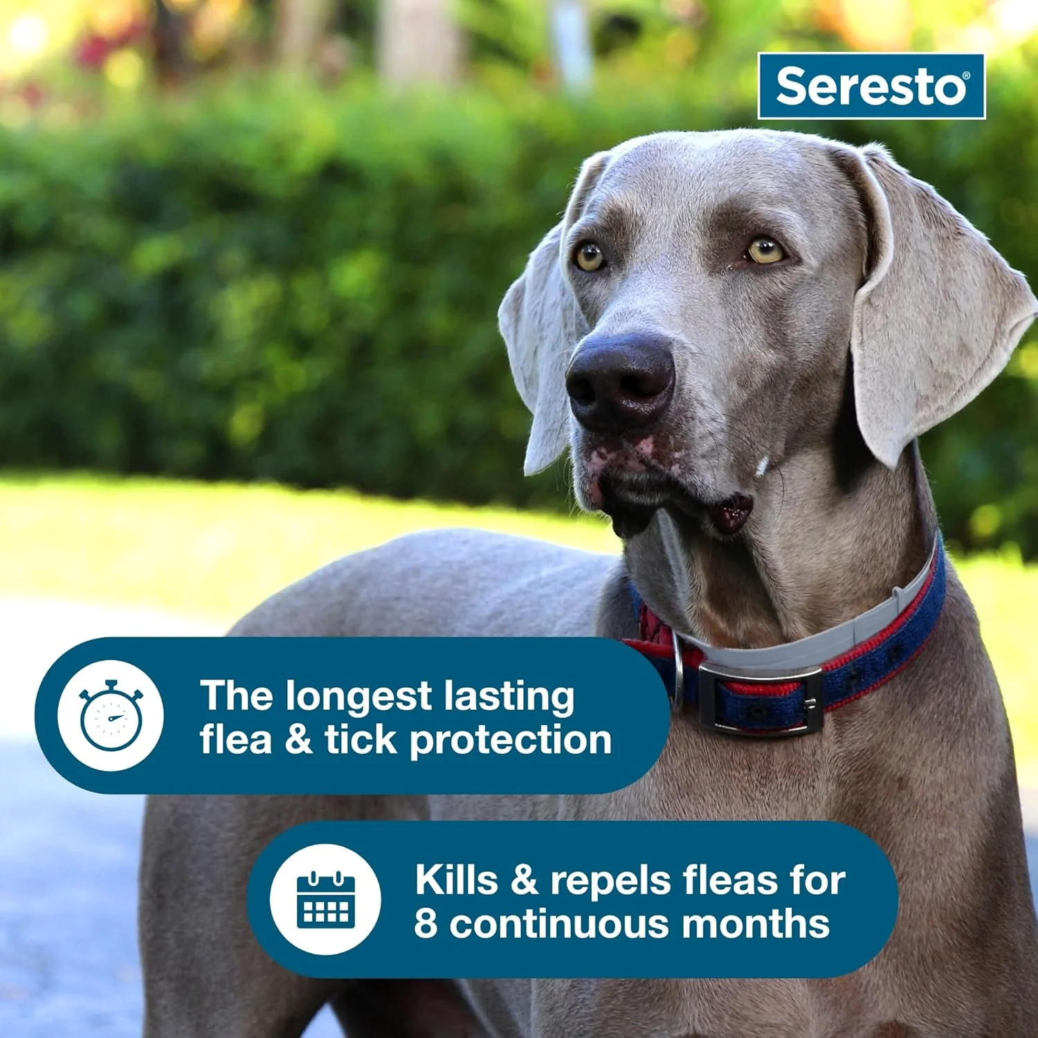 Seresto Flea & Tick Dog Collars - Image 5