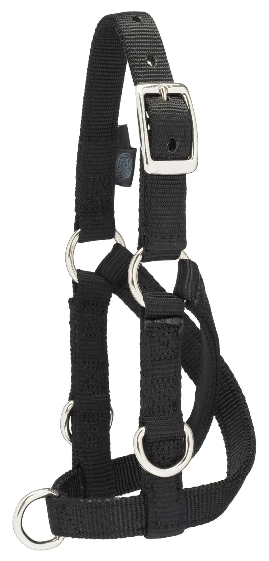 Sheep/Goat Treadmill Halter - Image 3