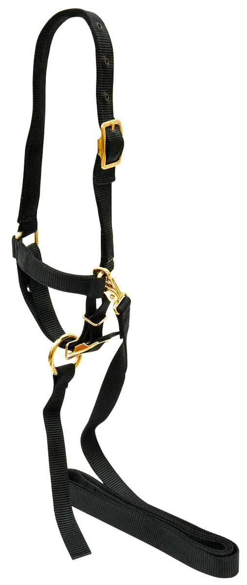 Jeffers Nylon Sheep Halter & Lead Set, 3/4" x 6' Lead - Image 3