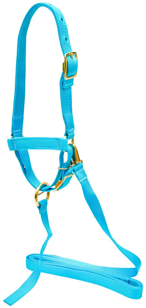 Jeffers Nylon Sheep Halter & Lead Set, 3/4" x 6' Lead - Image 5