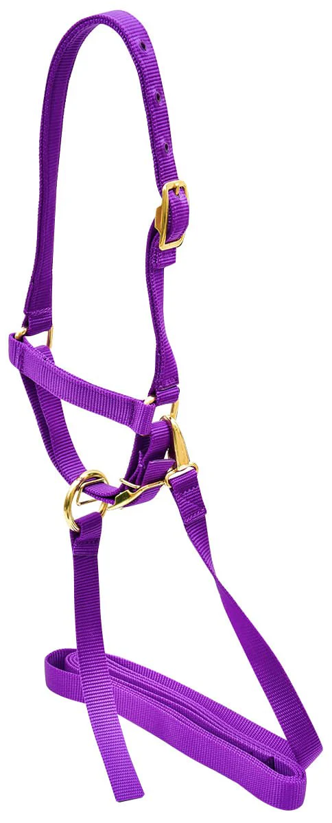 Jeffers Nylon Sheep Halter & Lead Set, 3/4" x 6' Lead - Image 6