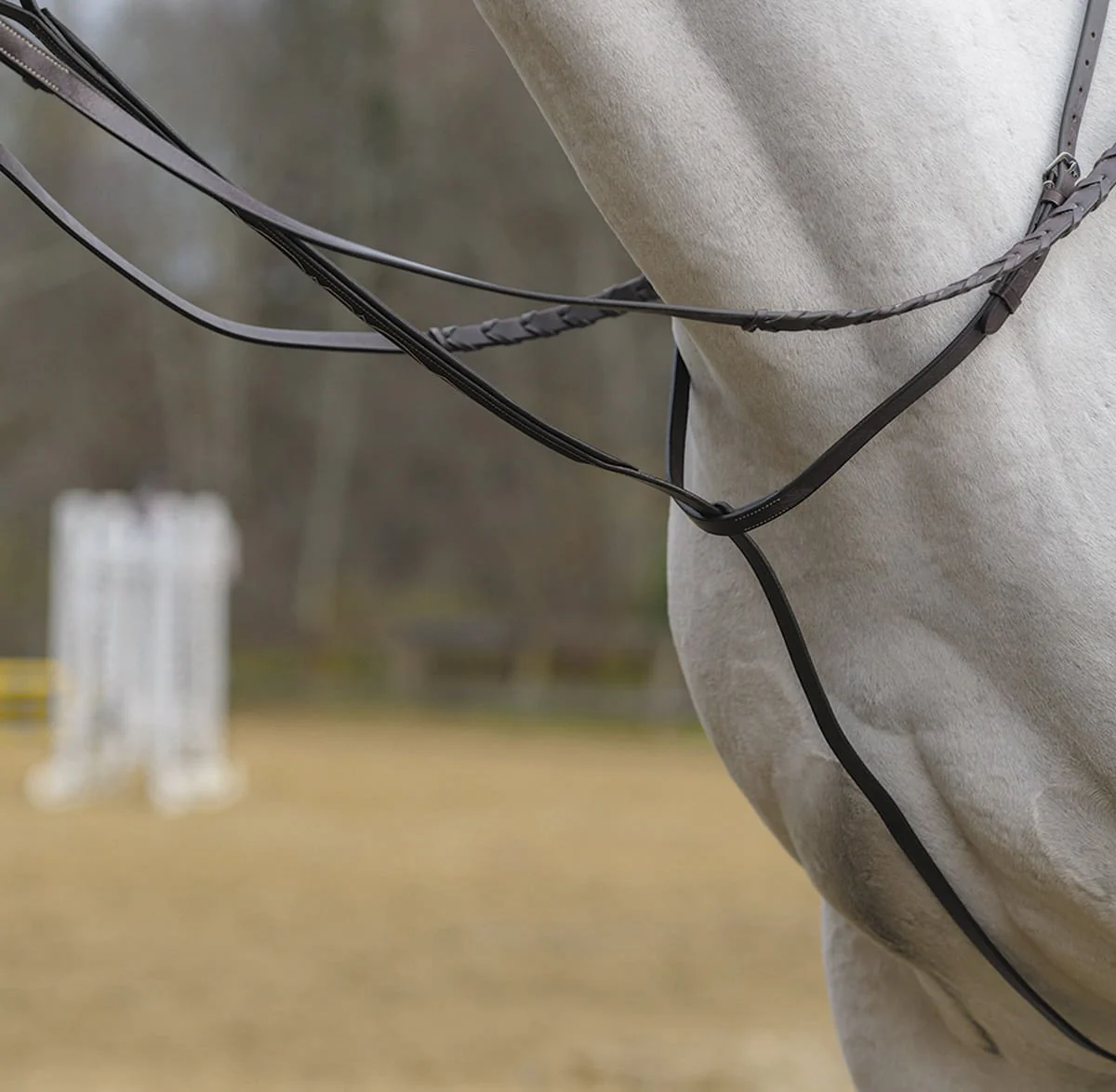 Shires Standing Martingale, Havana - Image 5