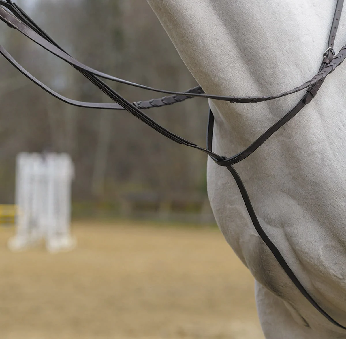 Shires Standing Martingale, Havana - Image 6
