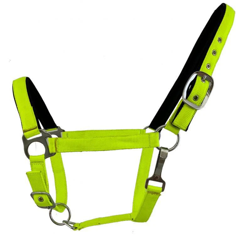 Showman Fluorescent Halters, Full - Image 7