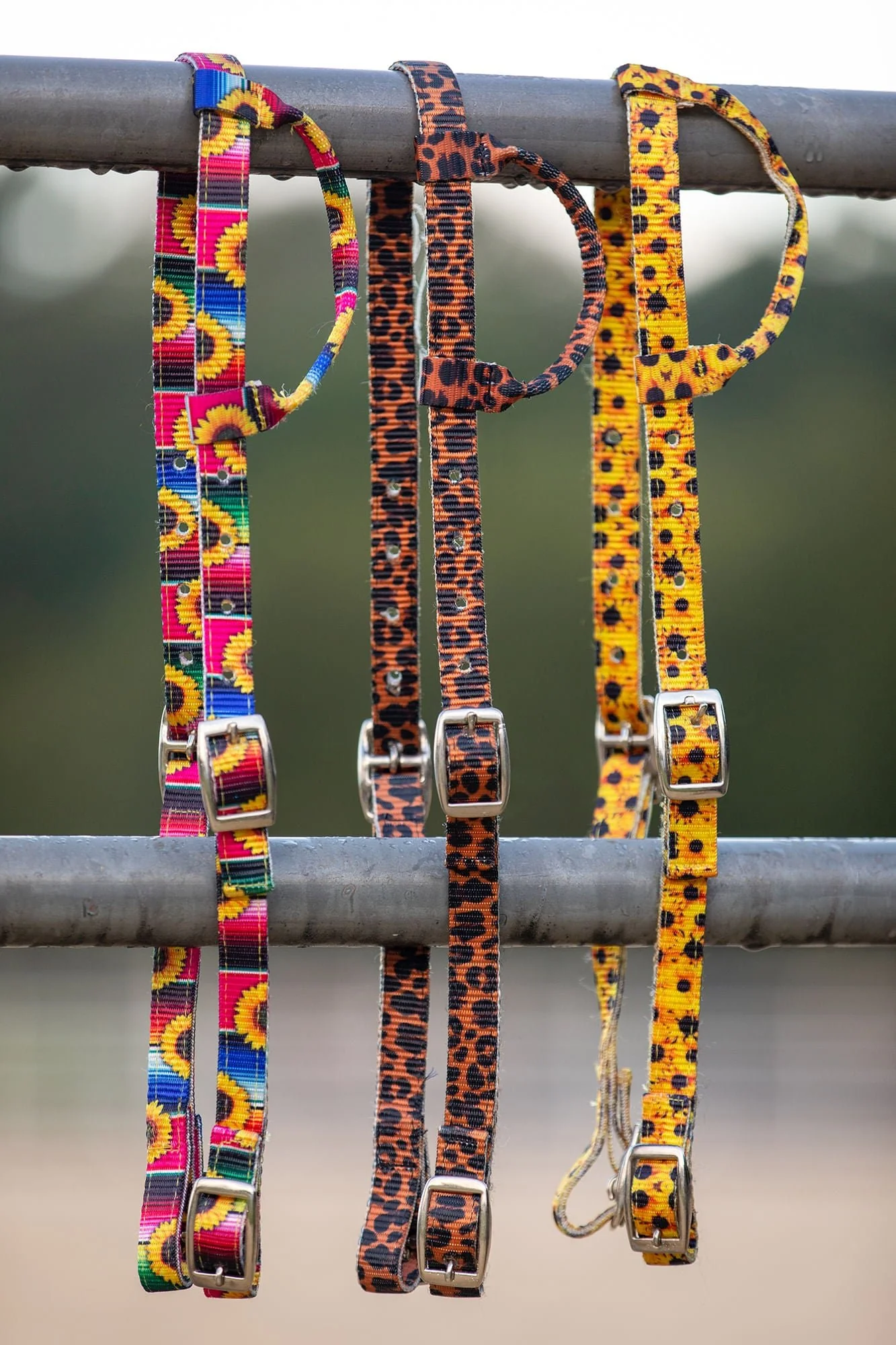 Showman Nylon One Ear Patterned Horse Headstall with Nickel Plated Buckles - Image 5