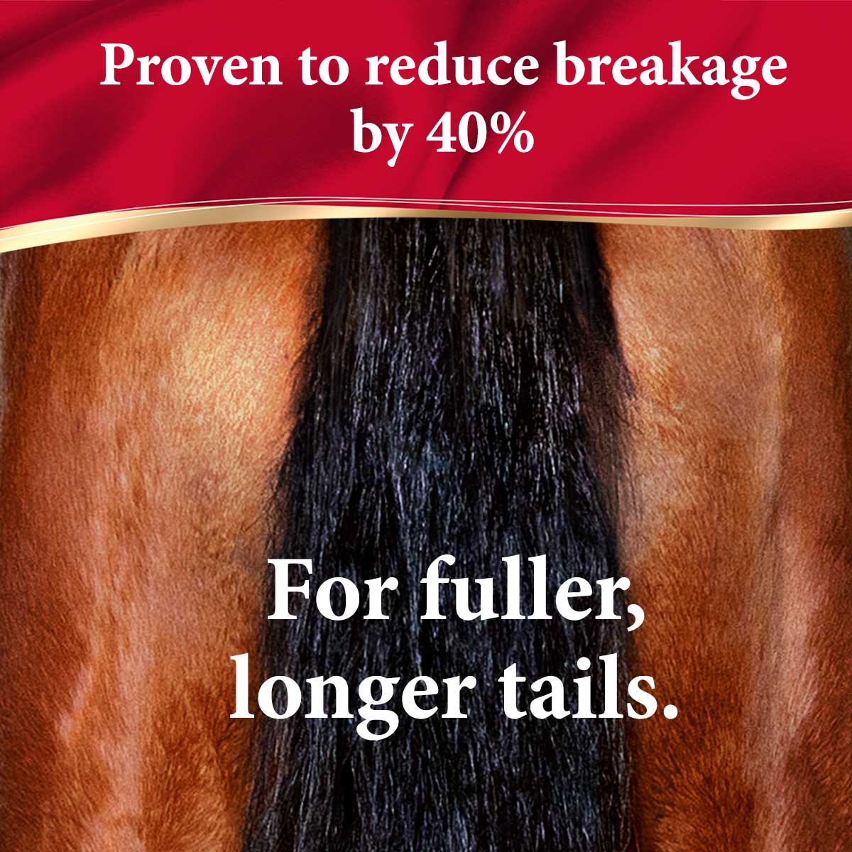 ShowSheen Hair Polish & Detangler for Horses - Image 6