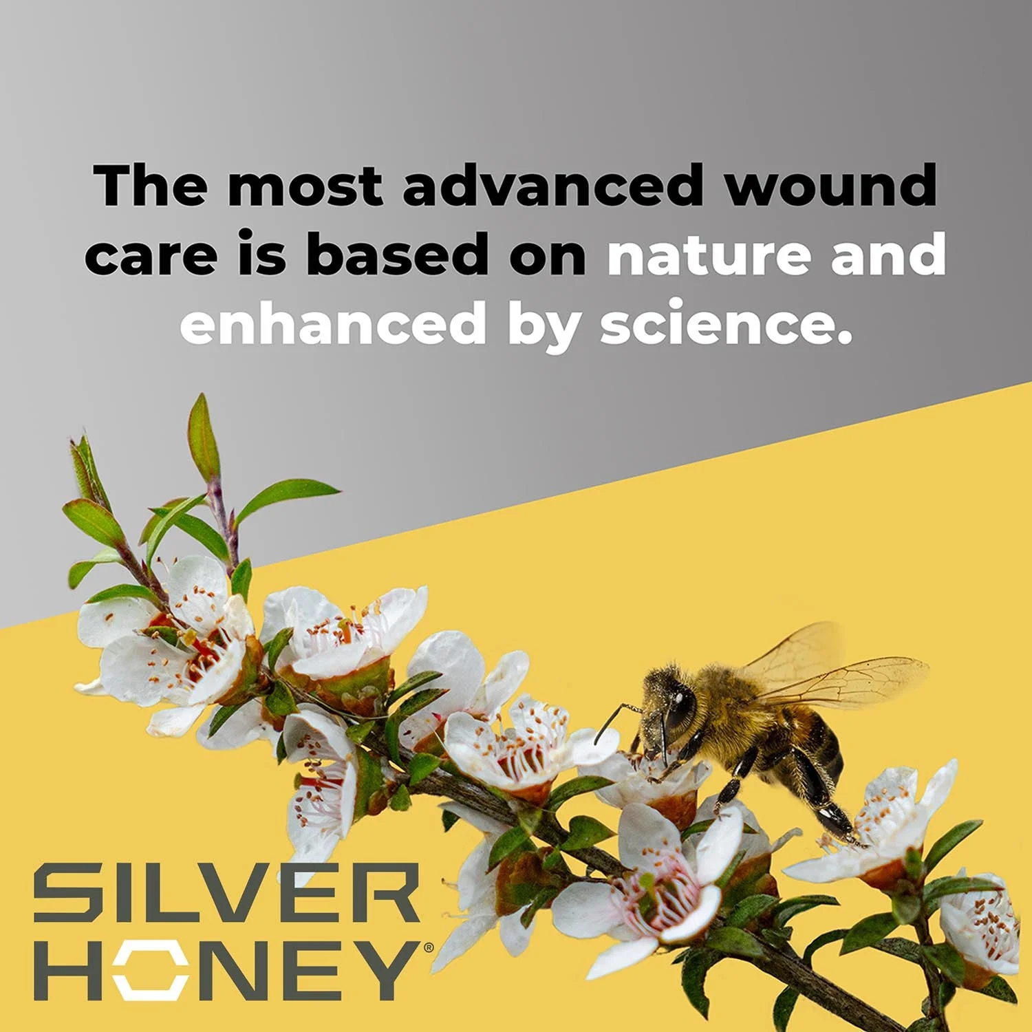 Silver Honey Rapid Skin Relief Medicated Shampoo - Image 5