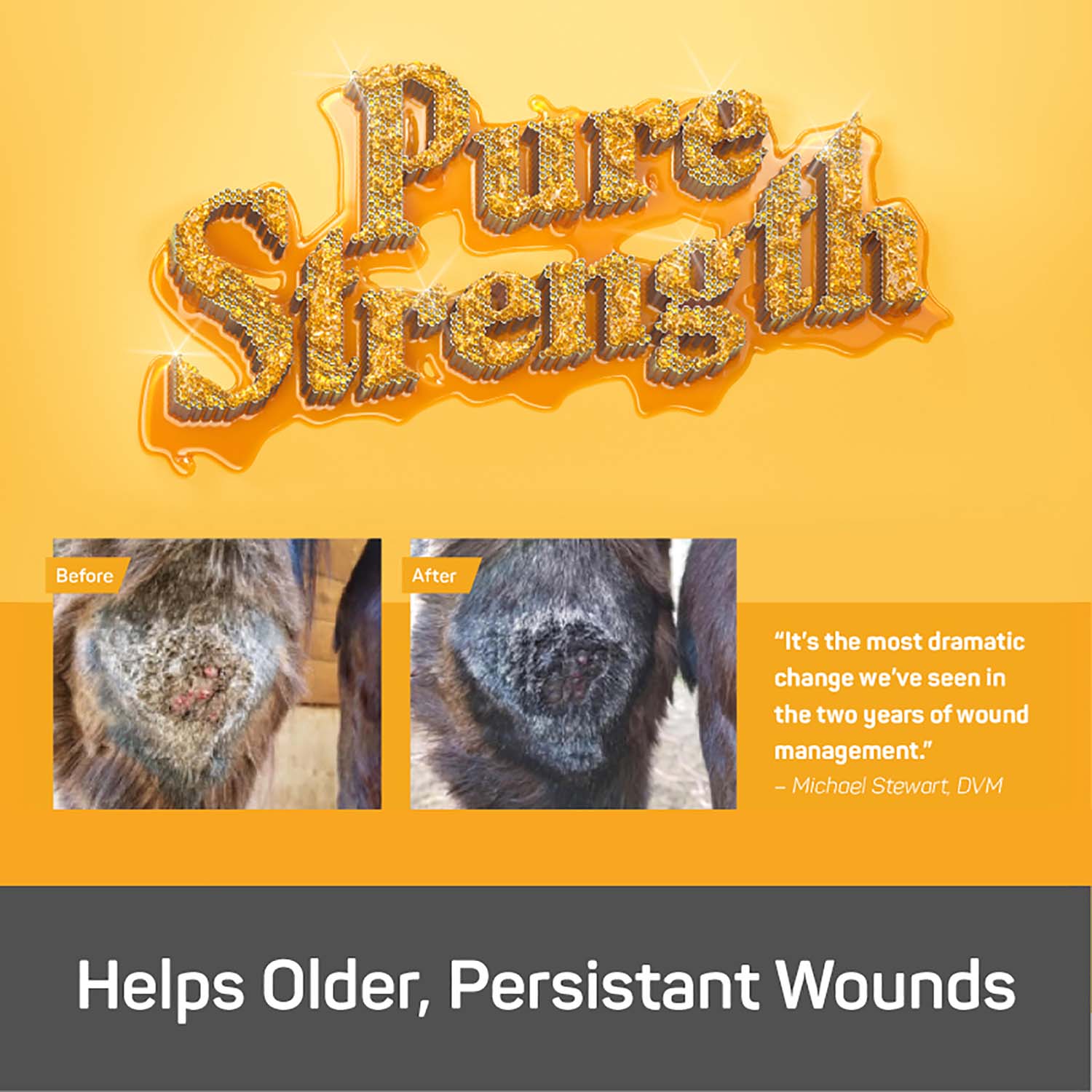 Silver Honey Rapid Wound Repair Ointment - Image 3