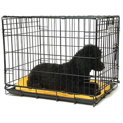 Jeffers Single Door Fold & Go Wire Dog Crate - Image 2