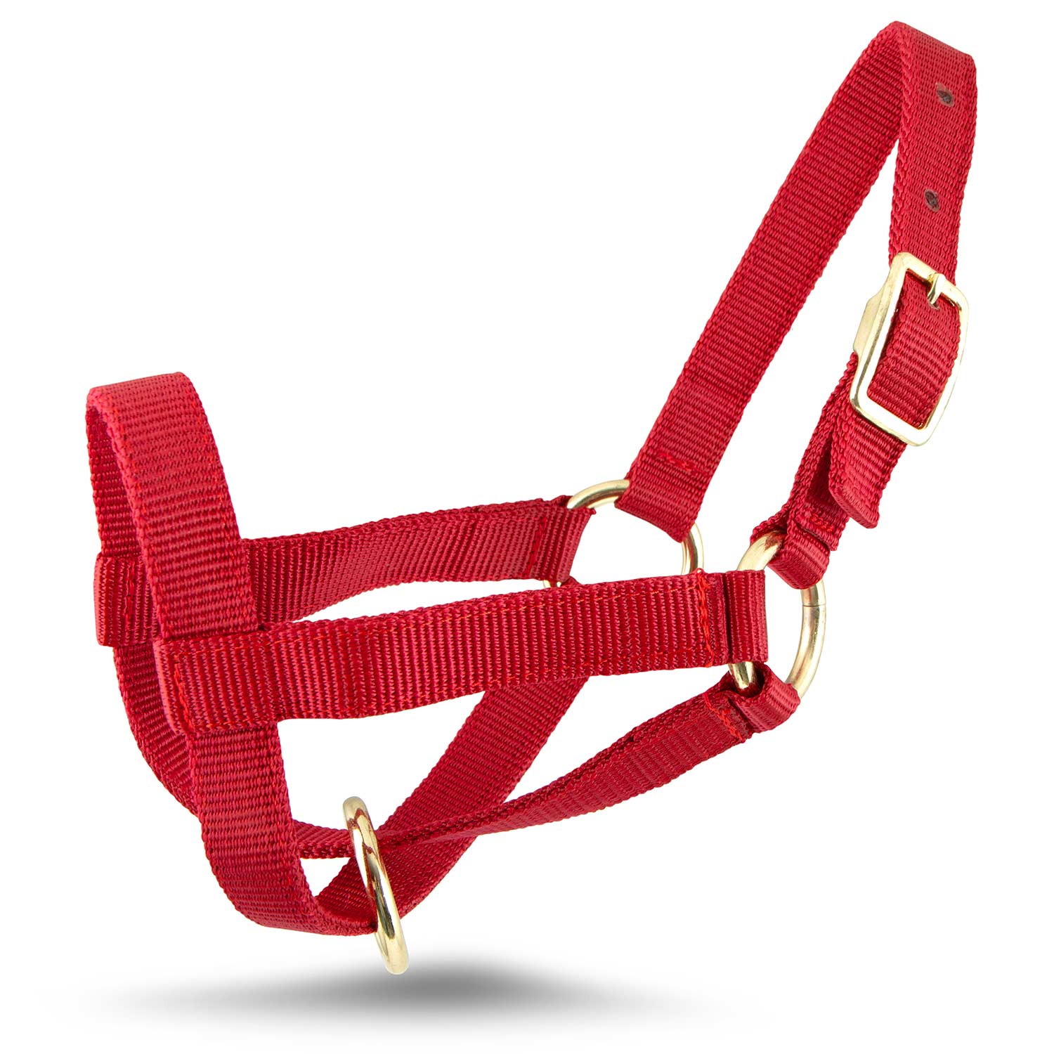 Jeffers Goat Halter - Image 4