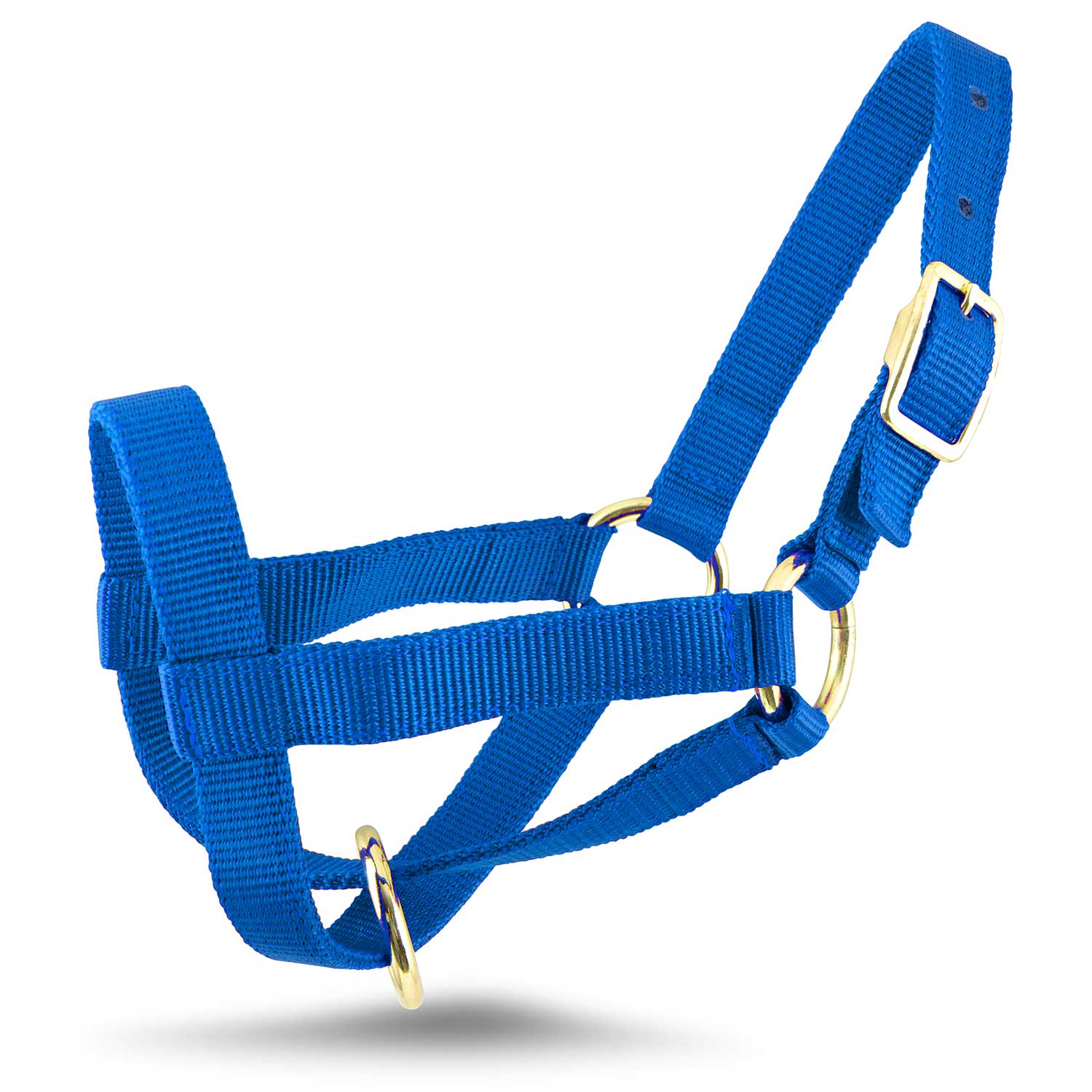 Jeffers Goat Halter - Image 6
