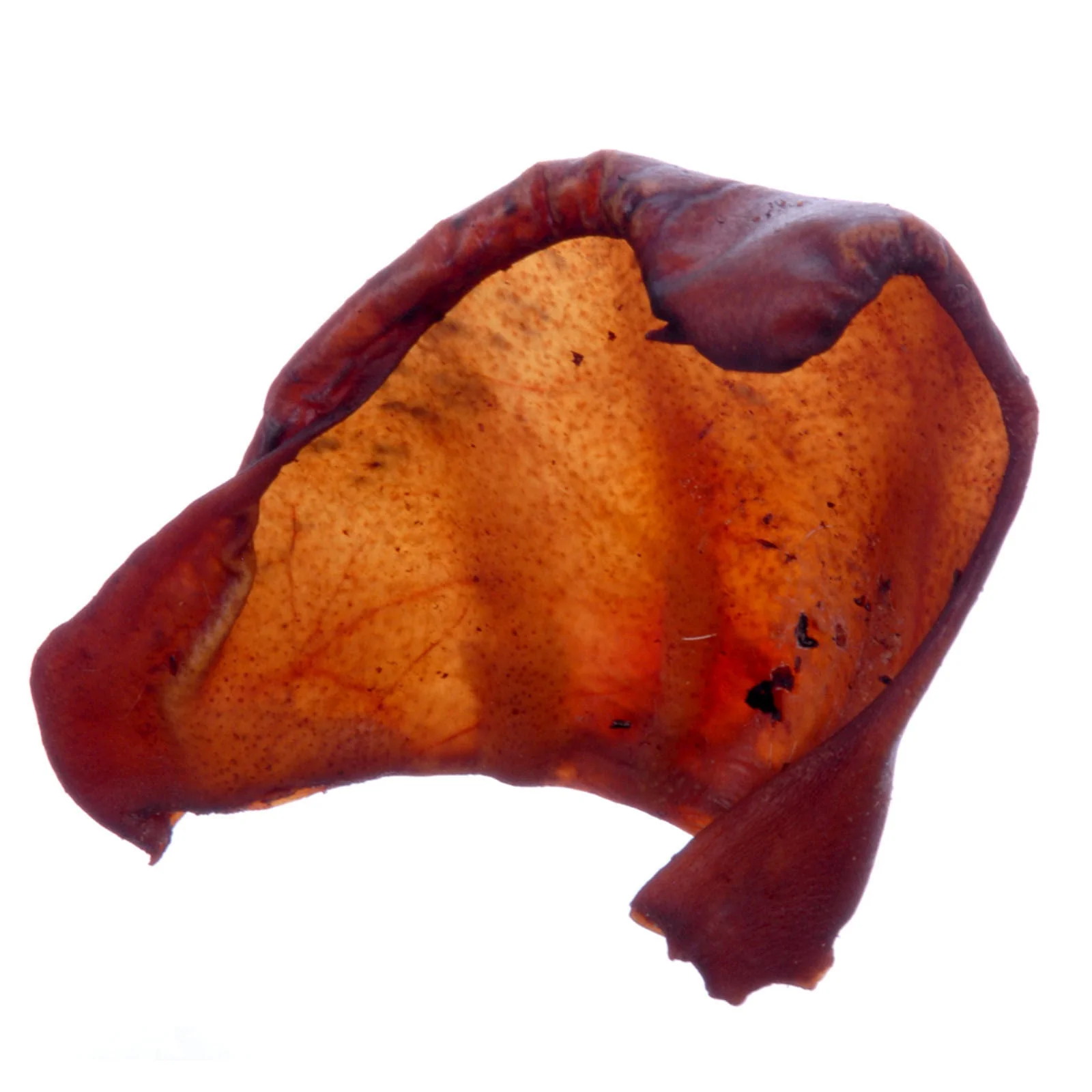 Jones Smoked Pig Ears - Image 2