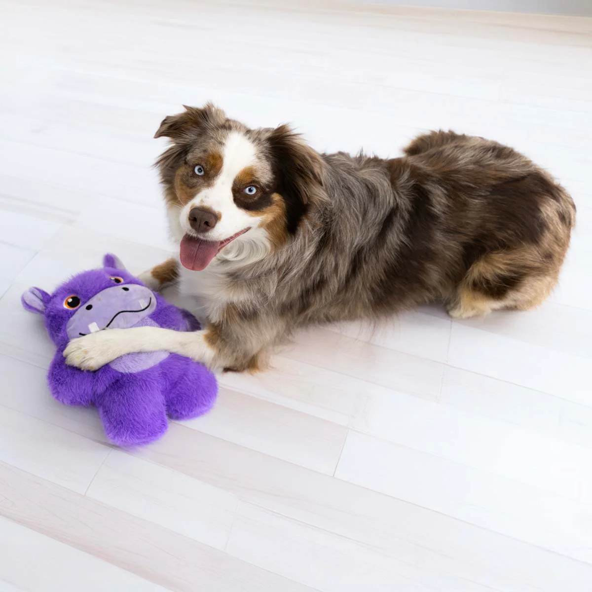 KONG Snuzzles XLarge Plush Dog Toy – Full-Body Squeaker - Image 7