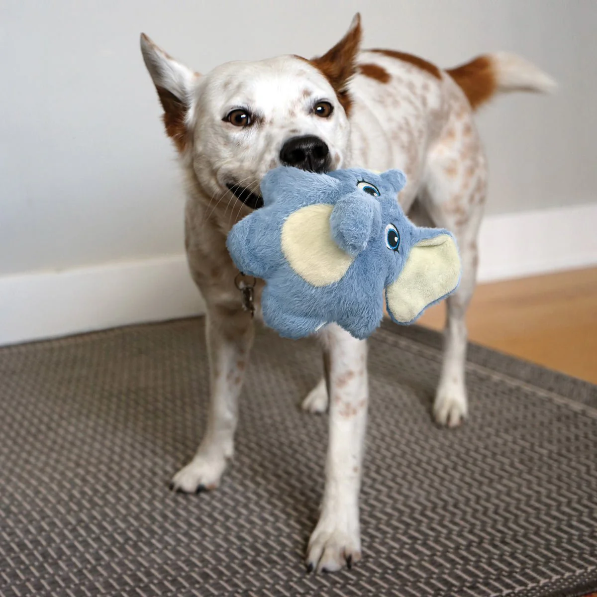 KONG Snuzzles Kiddos Plush Small Dog Toy with Squeaker & Crinkle - Image 7