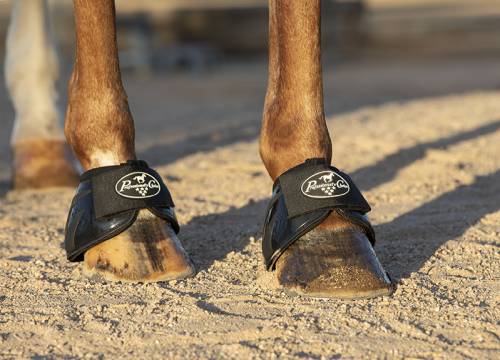Professional's Choice Spartan II Bell Boots - Image 2
