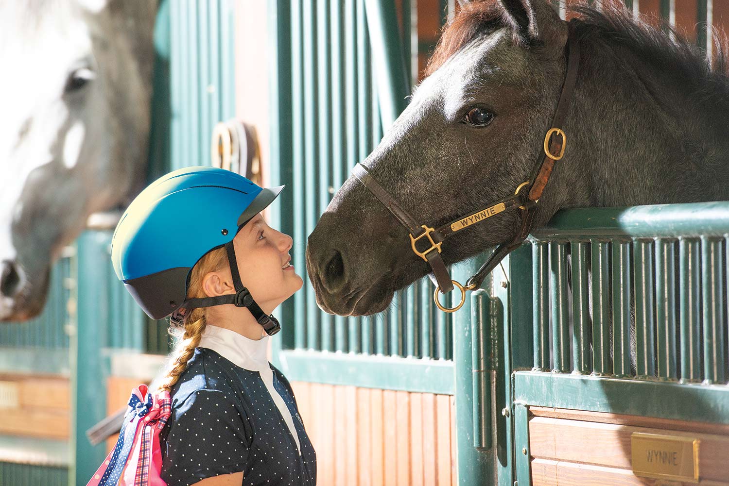Troxel Spirit Riding Helmet - Image 9