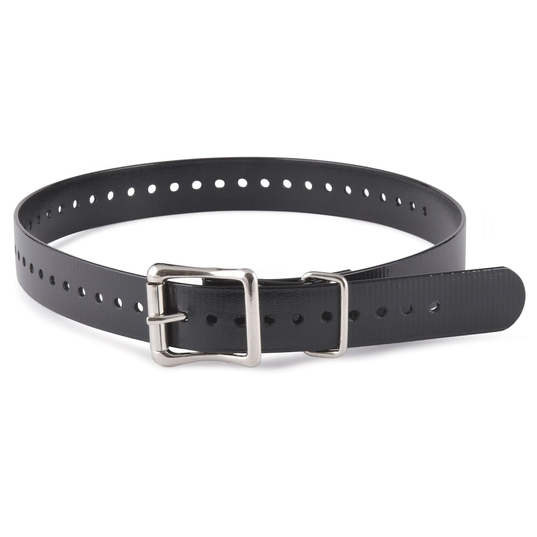 SportDOG Training Collar Strap, 1" x 27"