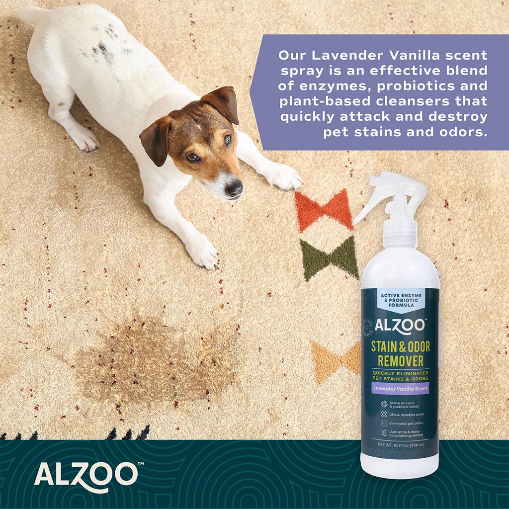 ALZOO Plant-Based Stain & Odor Remover with Active Enzymes & Probiotic Scented Spray - Image 19