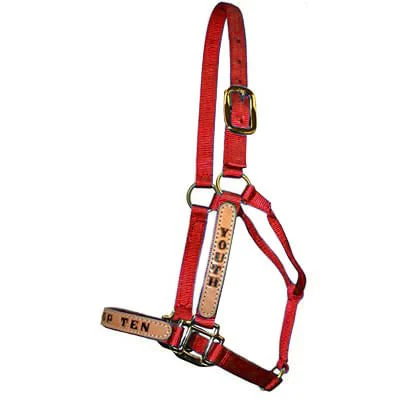 Personalized Nylon Halter, Standard (800-1100 lb) by Supreme Western - Image 4