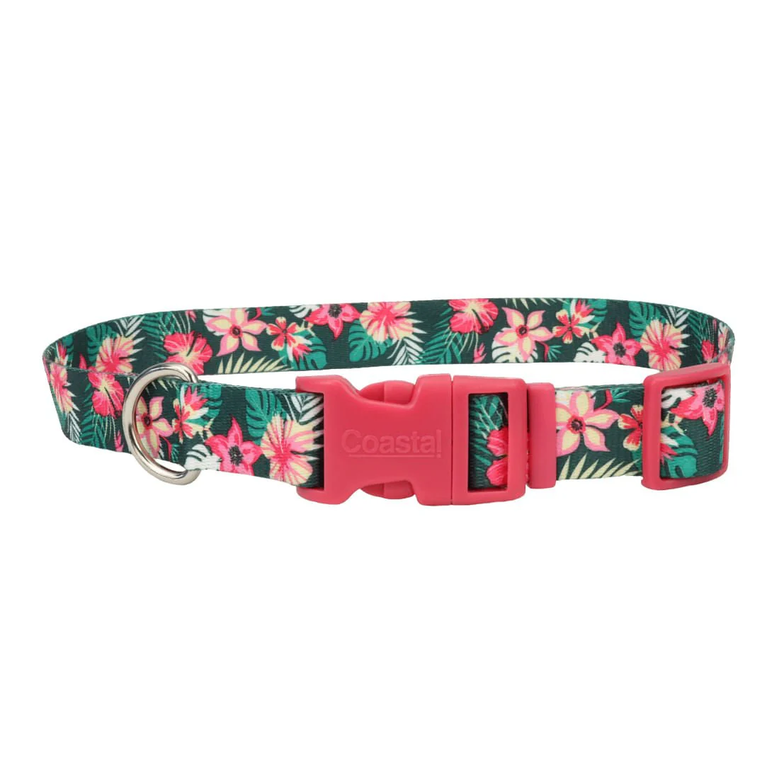 Styles Adjustable Dog Collar - Image 9