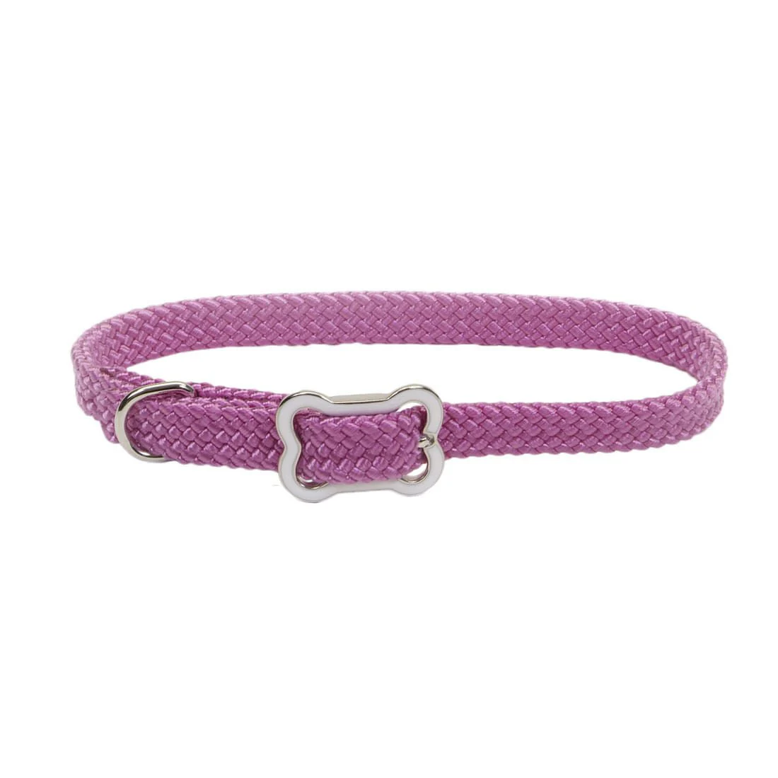 Sunburst Dog Collar with Bone Buckle - Image 11