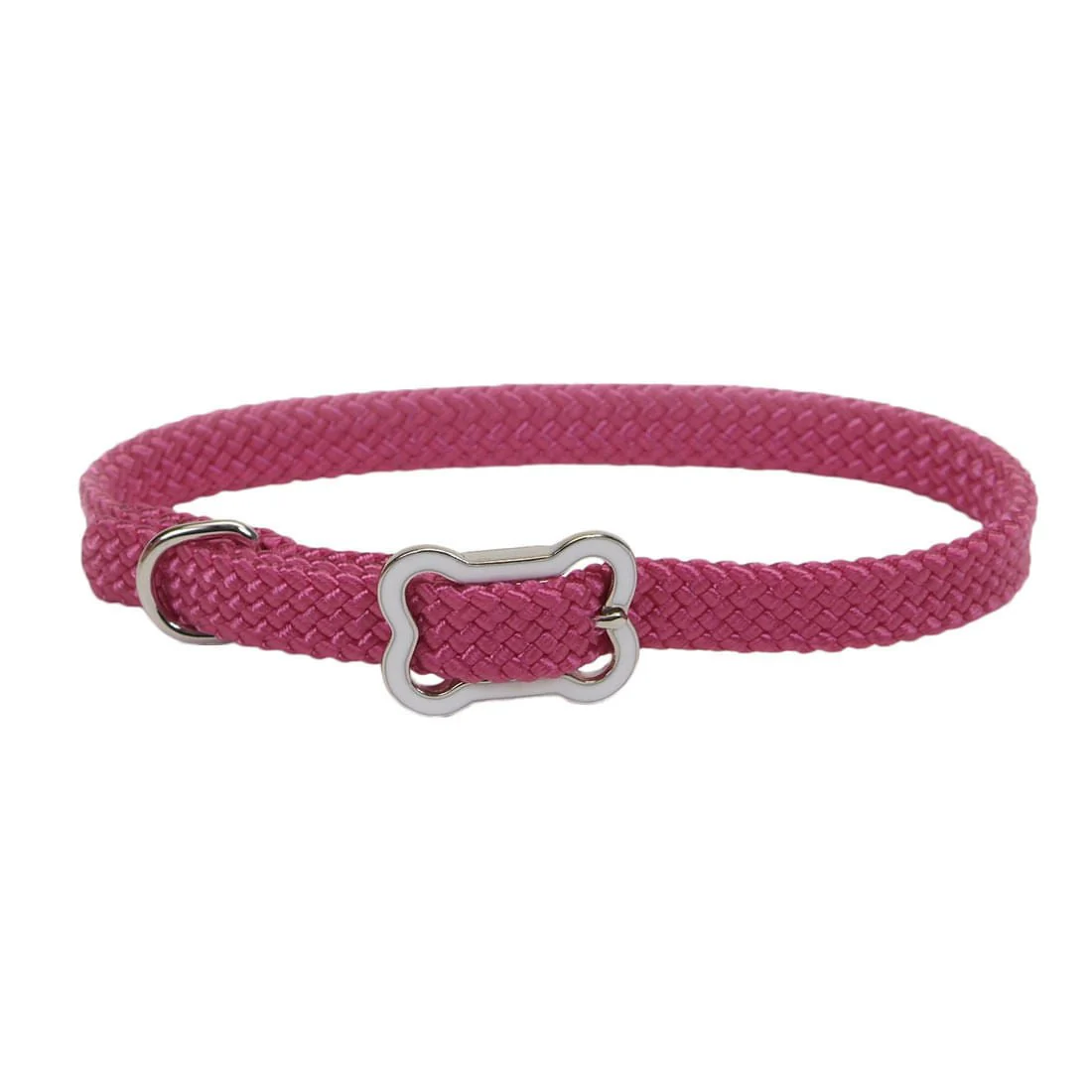 Sunburst Dog Collar with Bone Buckle - Image 13