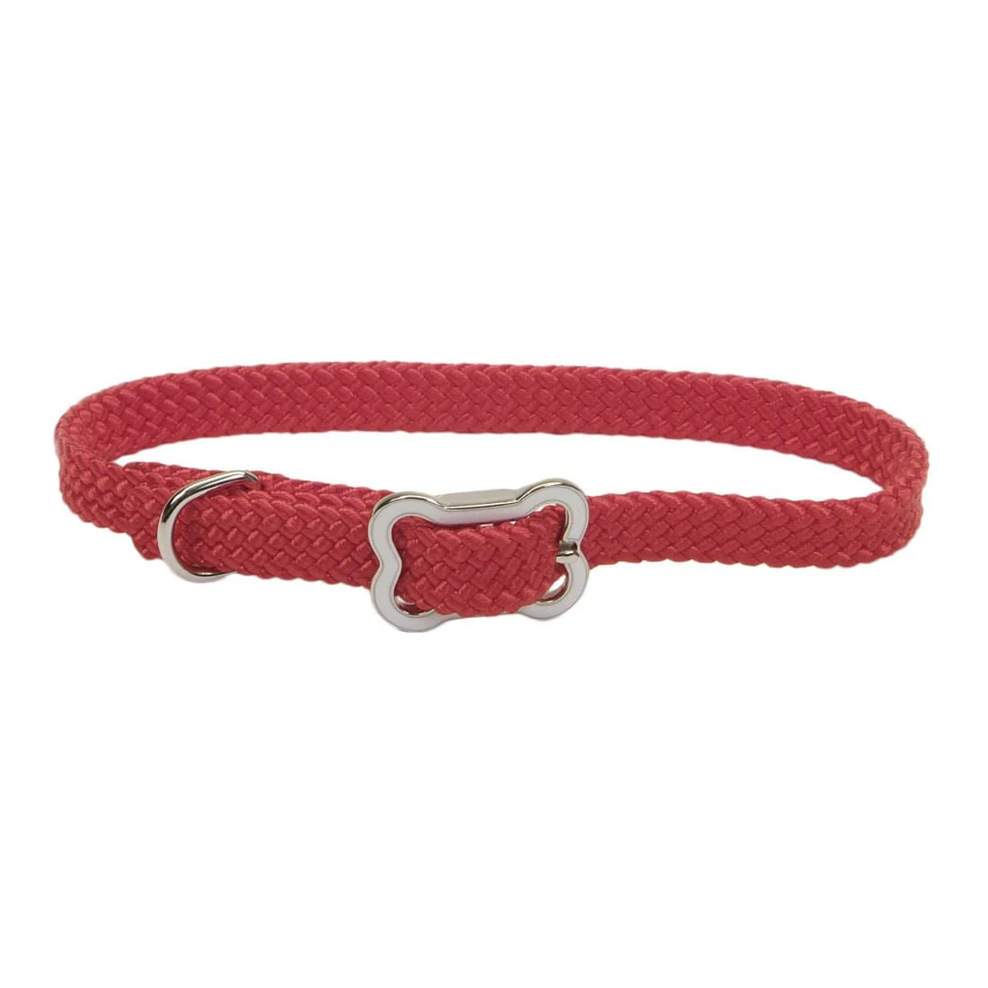 Sunburst Dog Collar with Bone Buckle - Image 14