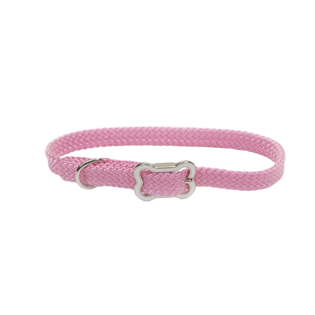 Sunburst Dog Collar with Bone Buckle - Image 5