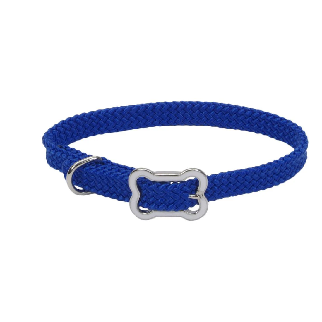 Sunburst Dog Collar with Bone Buckle - Image 8