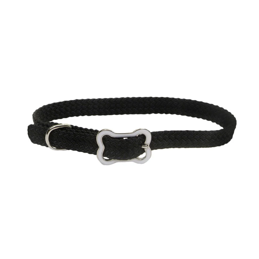 Sunburst Dog Collar with Bone Buckle - Image 9