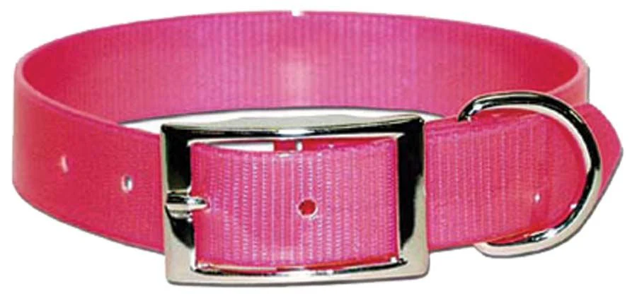 Sunglo Dog Collars - Image 9