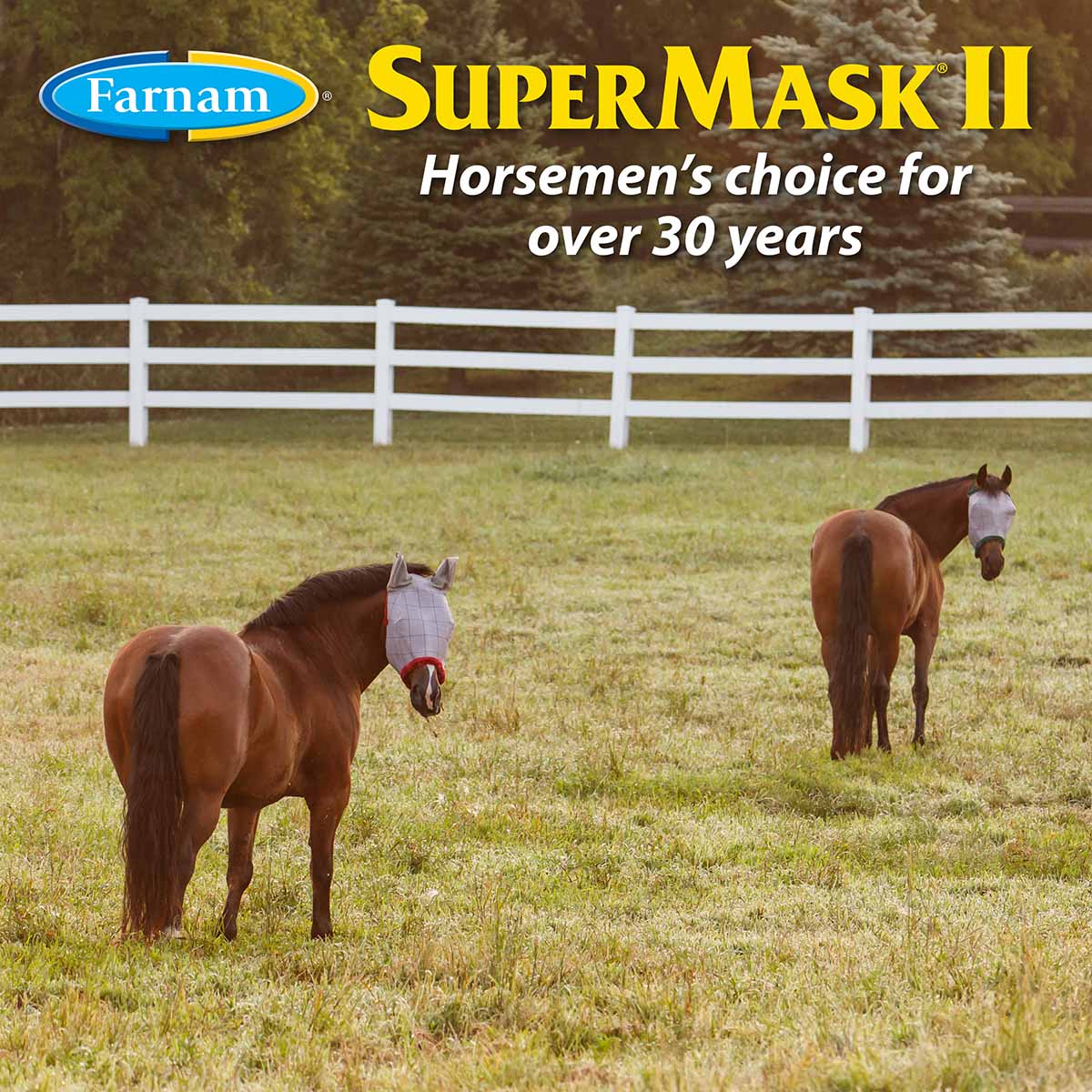 SuperMask & Equi-Spot 12 Kit - Image 5