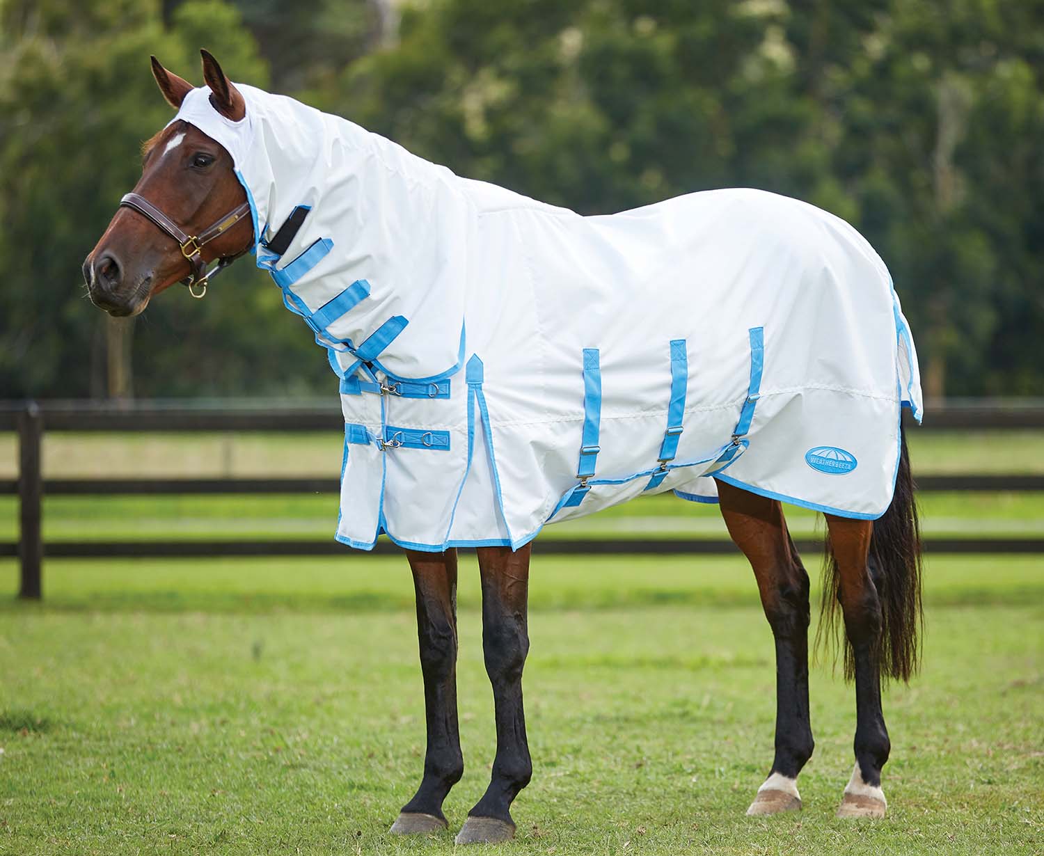 Sweet Itch Shield Combo Neck Horse Fly Sheet