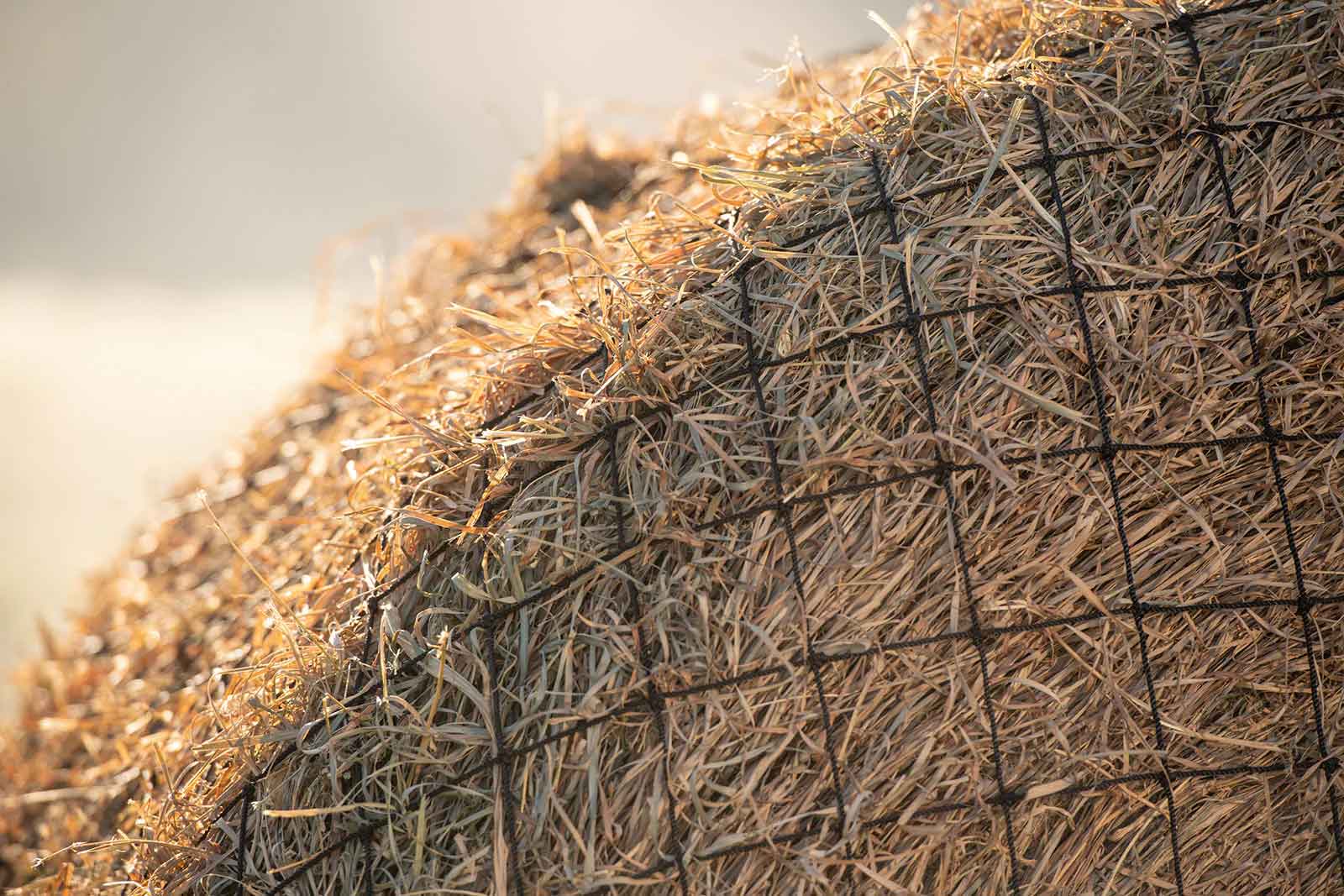 Texas Haynet Livestock Hay Bale Net for Round or Square Bales, 3" Holes - Image 5
