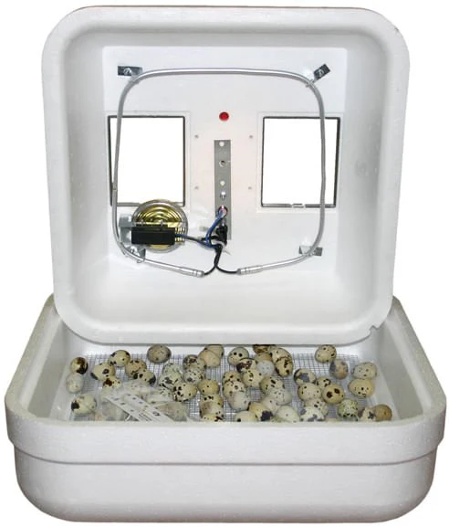 Hova-Bator Low Wattage Still-Air Incubator