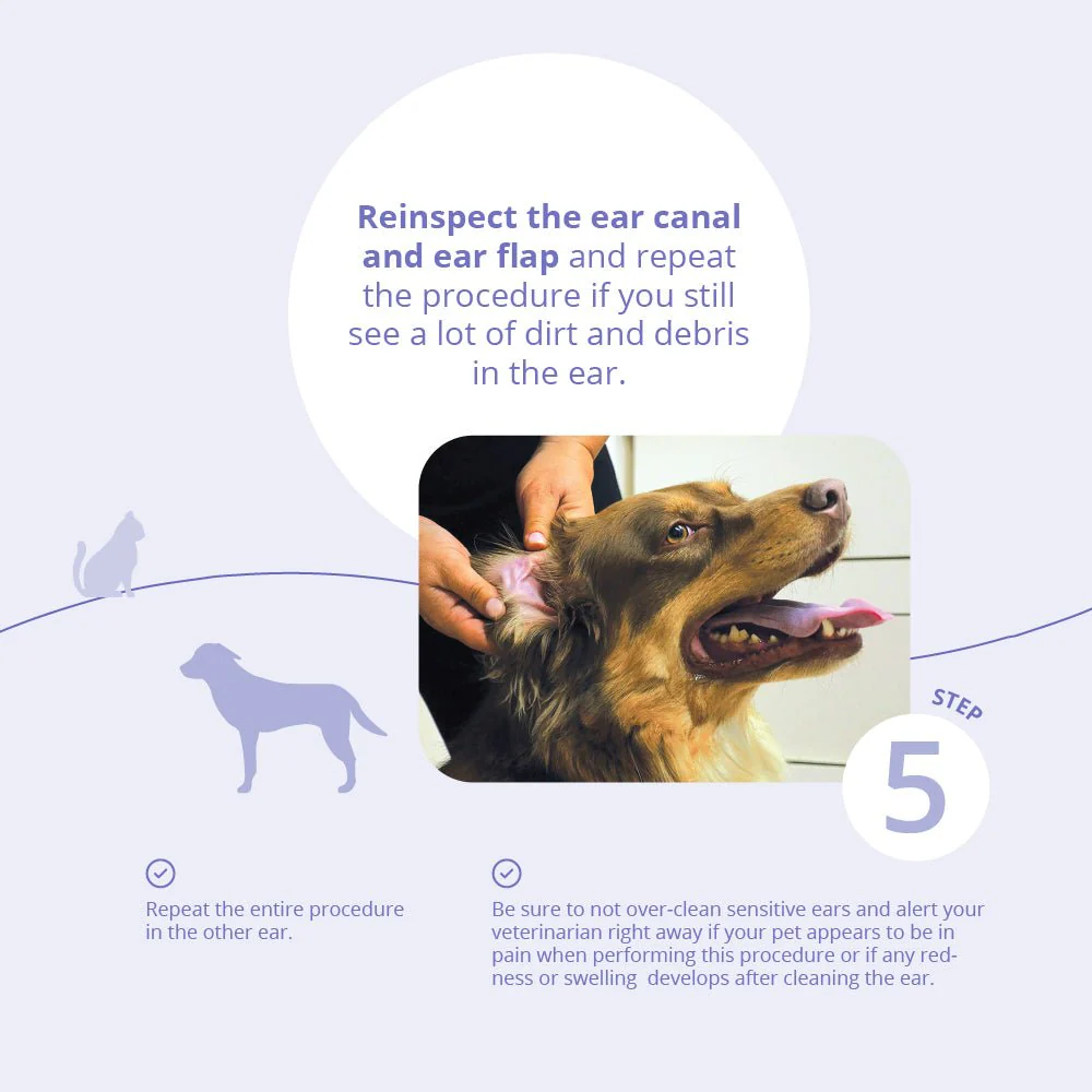 TrizChlor Ear Flush for Dogs and Cats, 4 fl oz - Image 9