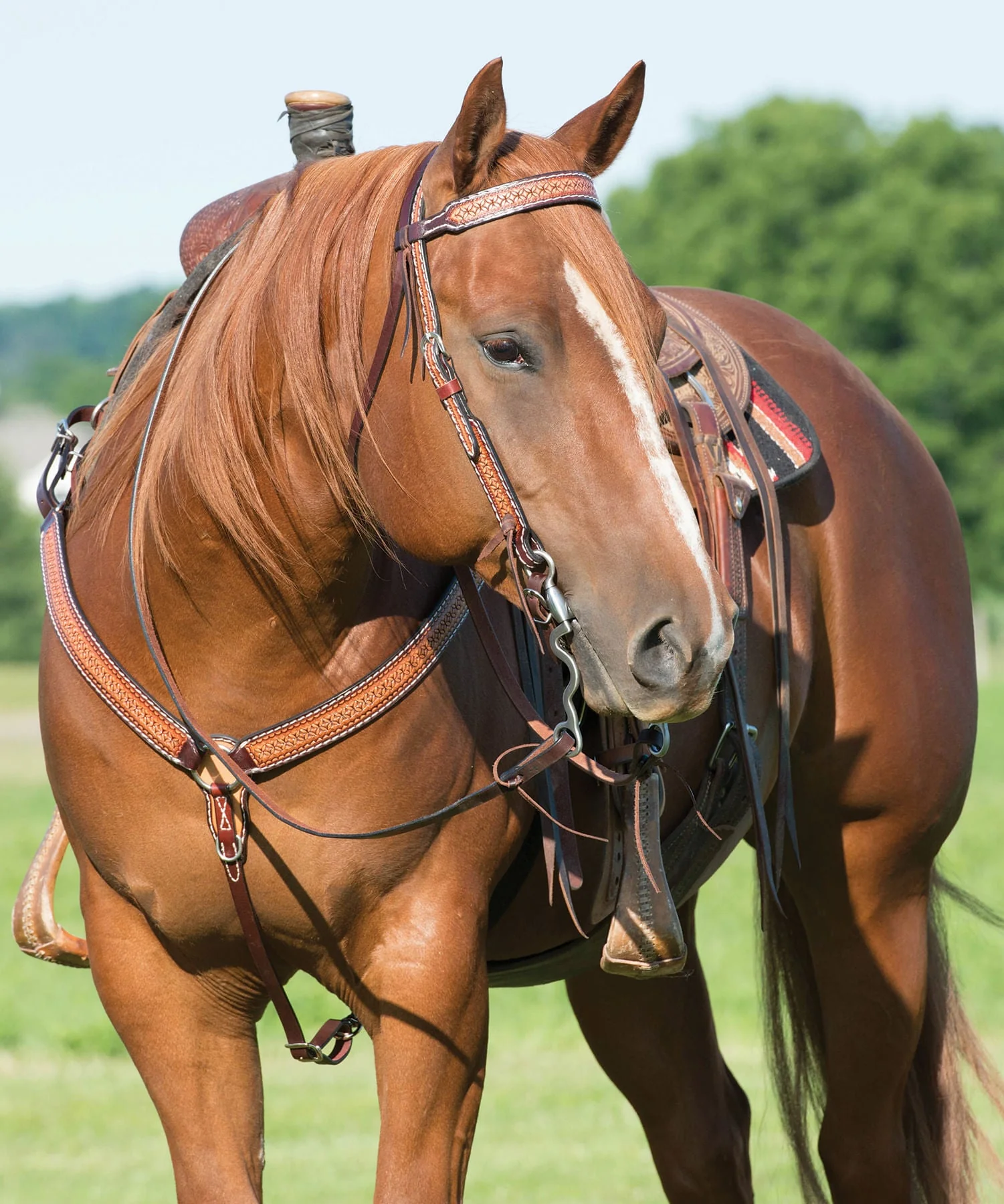 Turquoise Cross Geometric Tooled Browband Headstall - Image 4