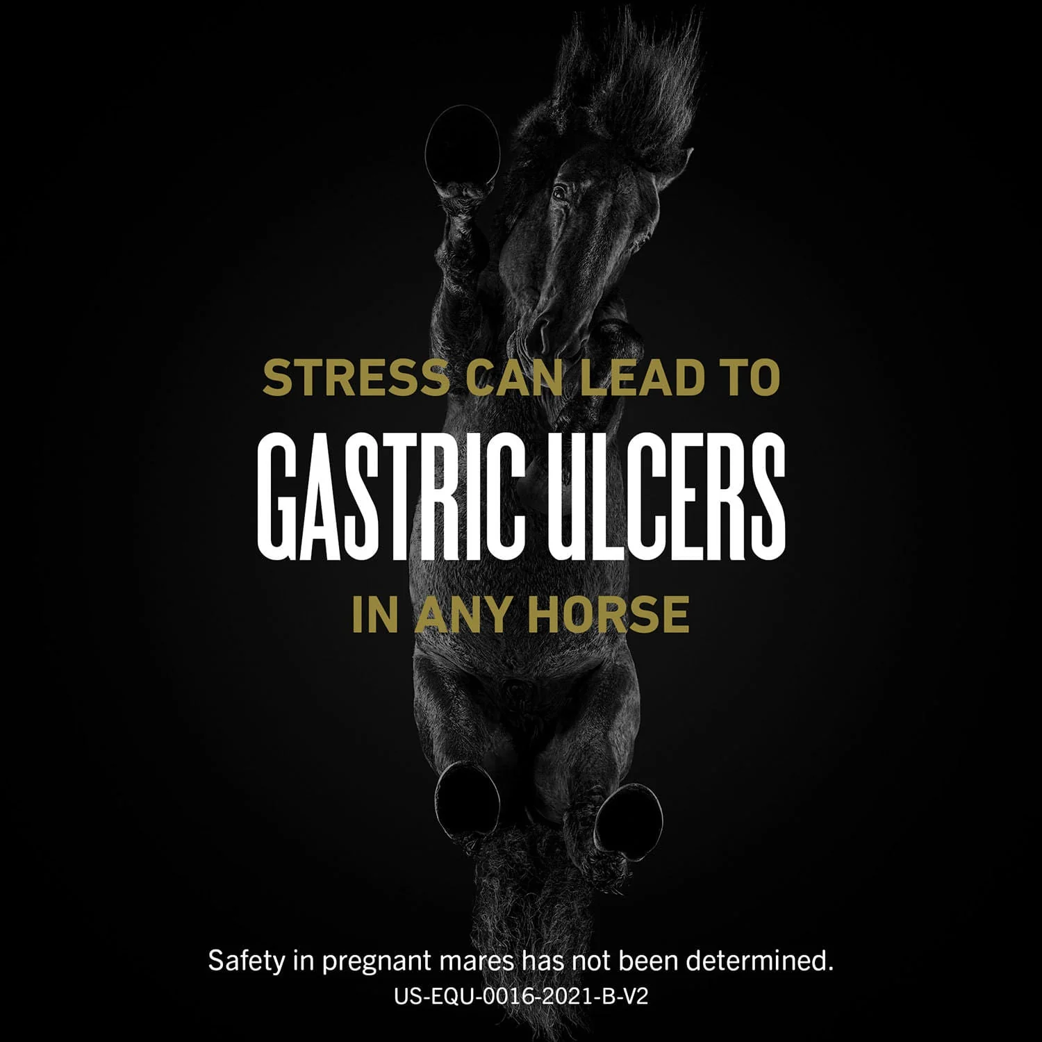UlcerGard (omeprazole) Oral Paste Ulcer Treatment for Horses - Image 5