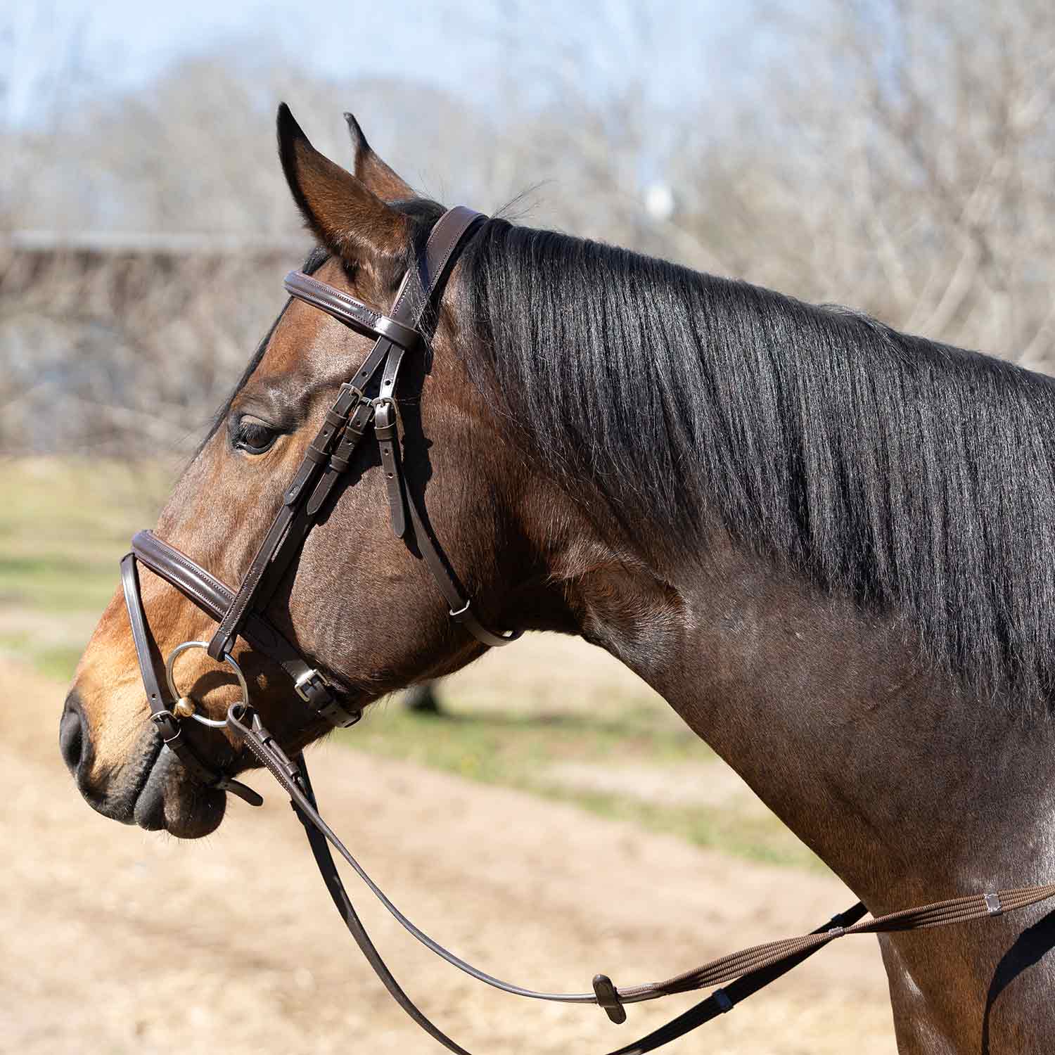 Jeffers Uniquely English "Blenheim" Leather Jumping Bridle with Reins for Horses