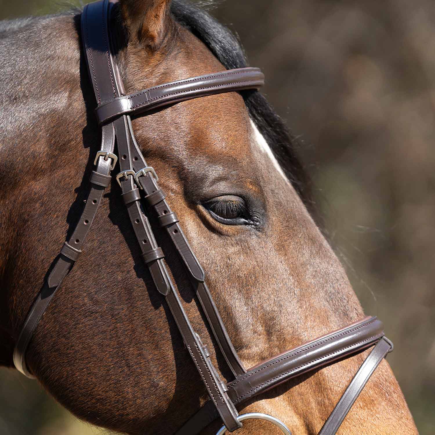 Jeffers Uniquely English "Blenheim" Leather Jumping Bridle with Reins for Horses - Image 7
