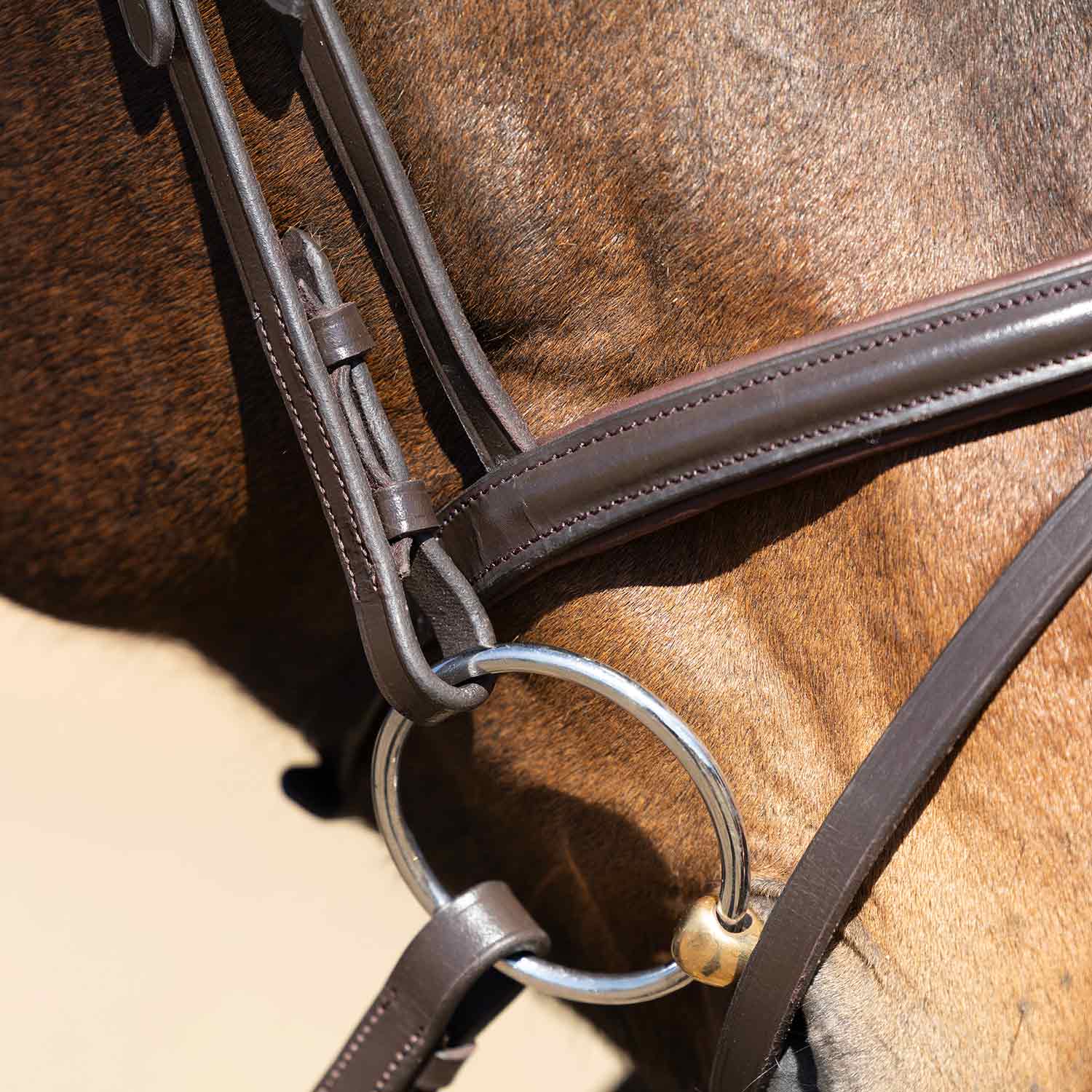 Jeffers Uniquely English "Blenheim" Leather Jumping Bridle with Reins for Horses - Image 8