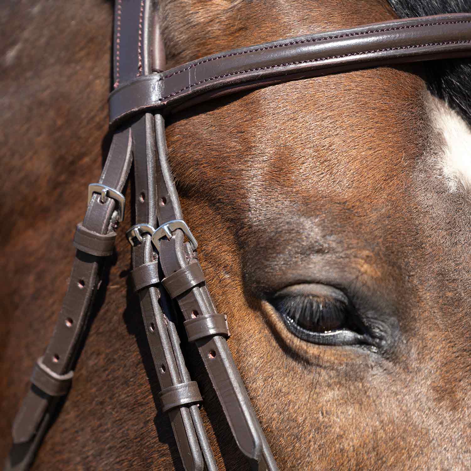 Jeffers Uniquely English "Blenheim" Leather Jumping Bridle with Reins for Horses - Image 9