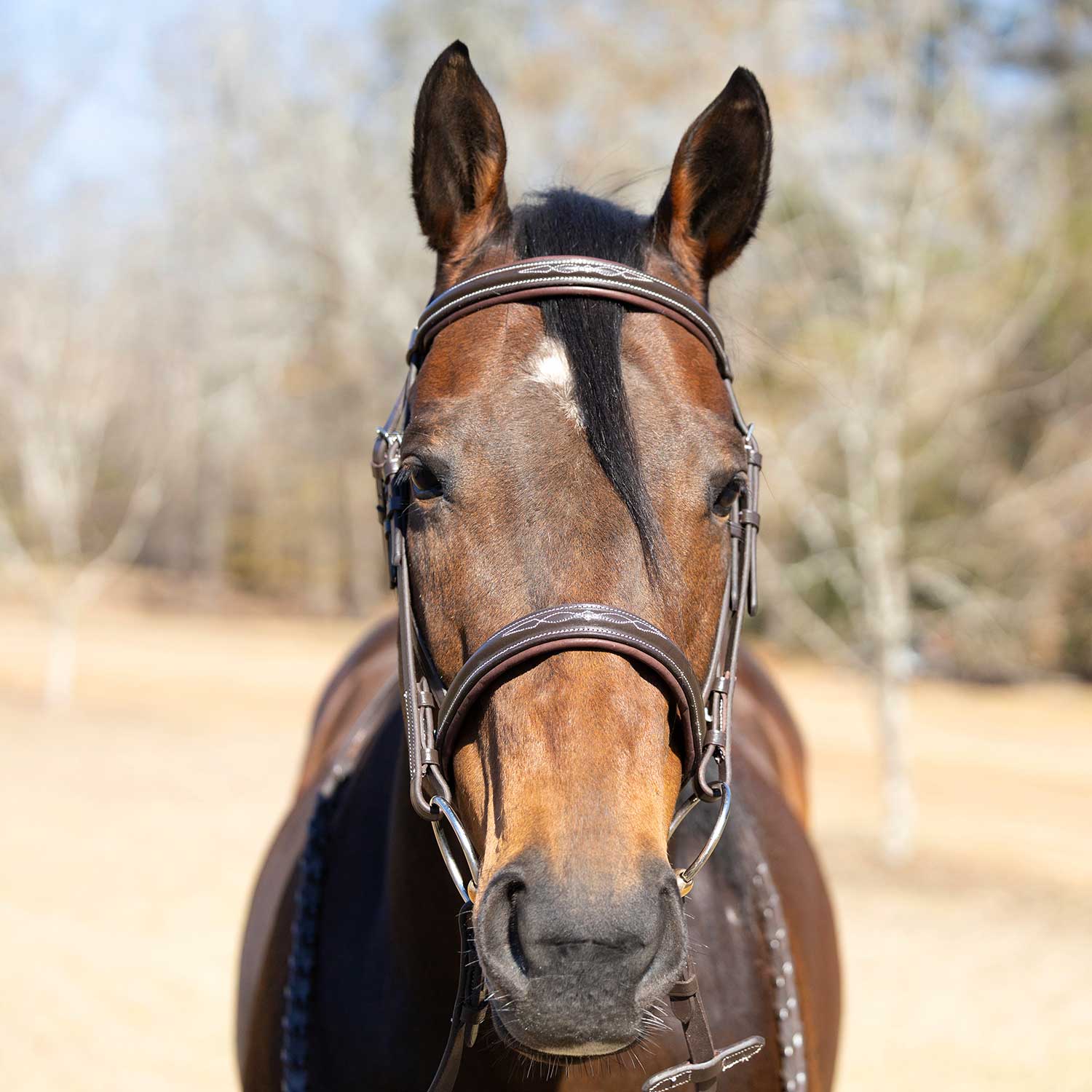 Jeffers Uniquely English "Hampton" Leather Hunter Bridle with Laced Reins for Horses - Image 3