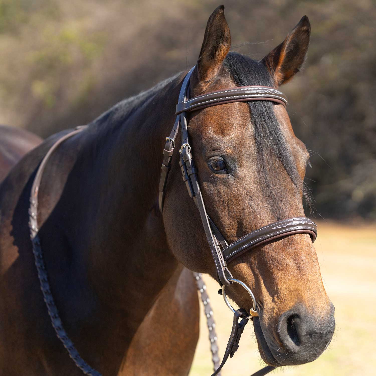 Jeffers Uniquely English "Hampton" Leather Hunter Bridle with Laced Reins for Horses - Image 4
